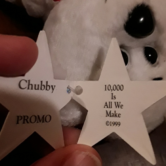 CHUBBY PROMO  TEDDY BEAR - Picture 6 of 6